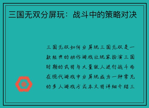 三国无双分屏玩：战斗中的策略对决